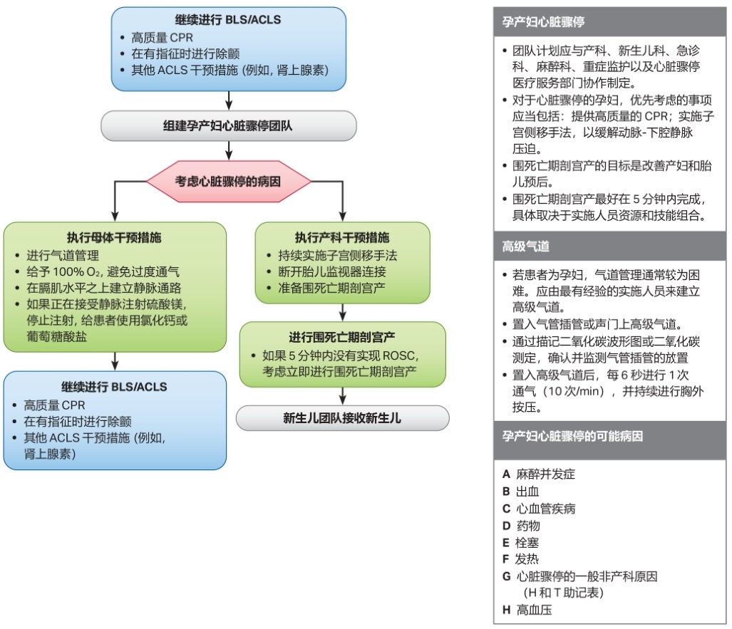 cpr思维导图图片